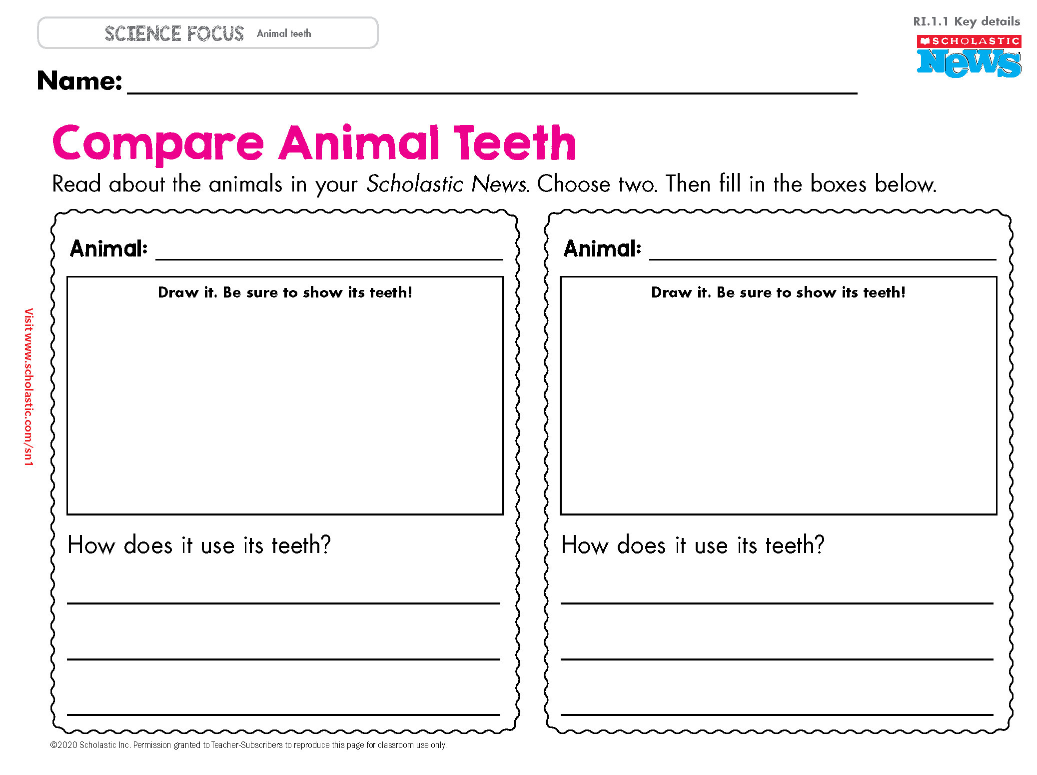 Illustration for Scholastic News Compare Animal Teeth Skill Sheet